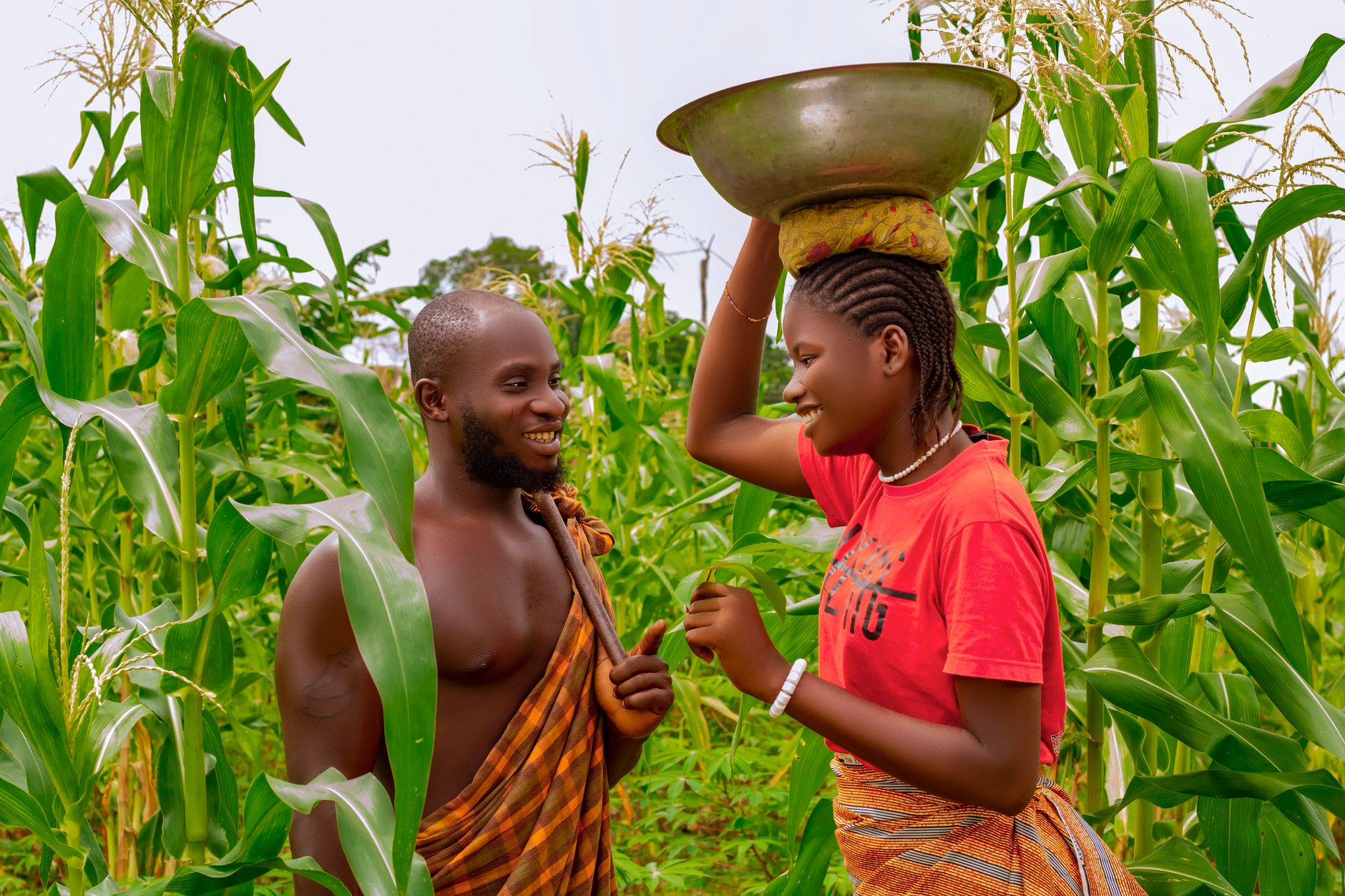 Farmers together in a maize field