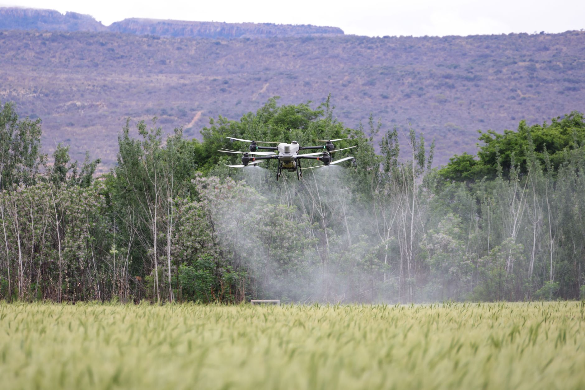 Drone flying over a farm field