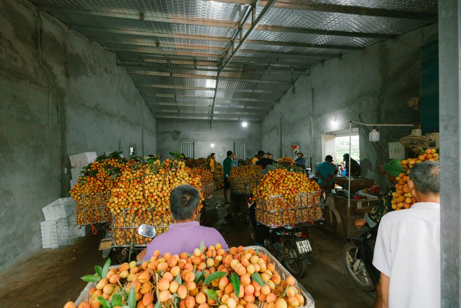 Fresh produce prepared for export