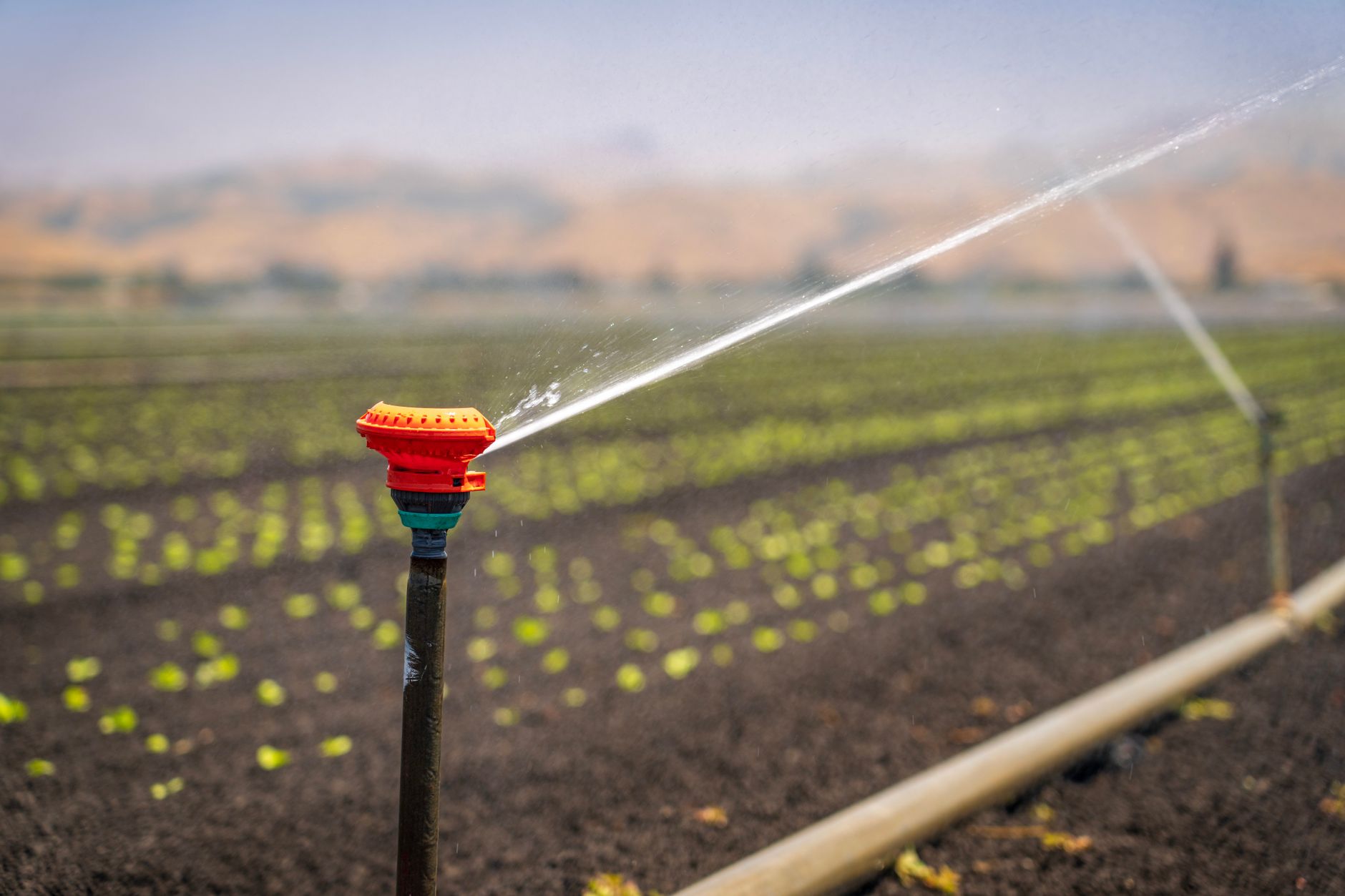 Irrigation watering a field