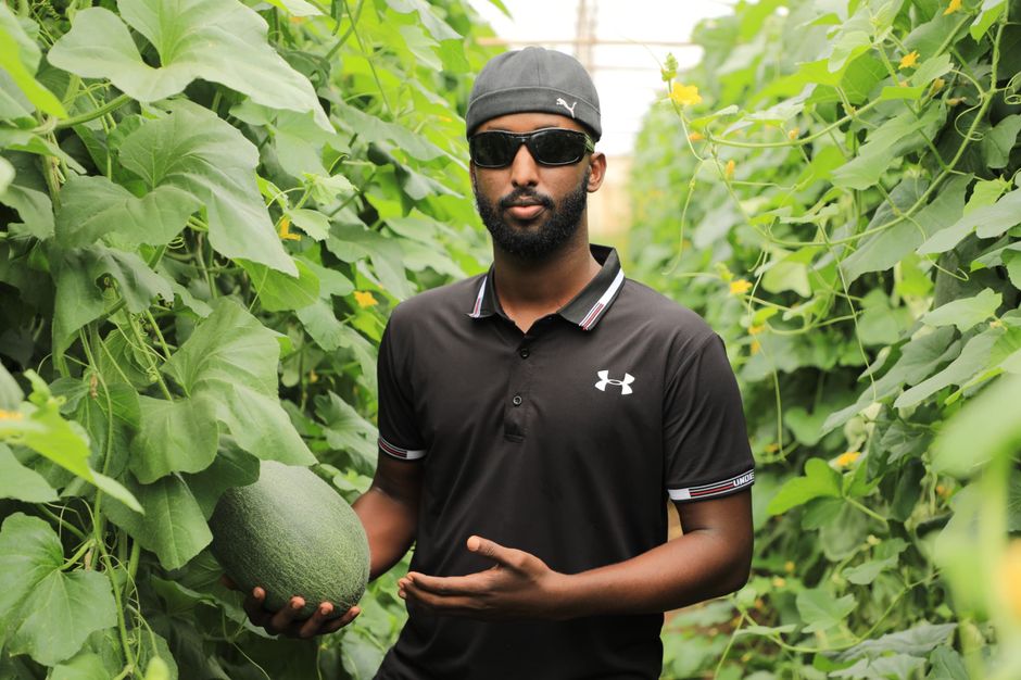 Farmer in a greenhouse