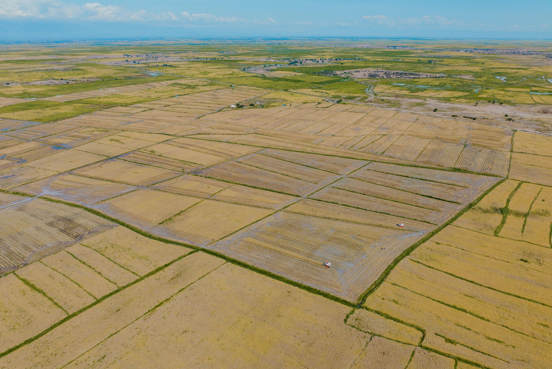 Farmland from above