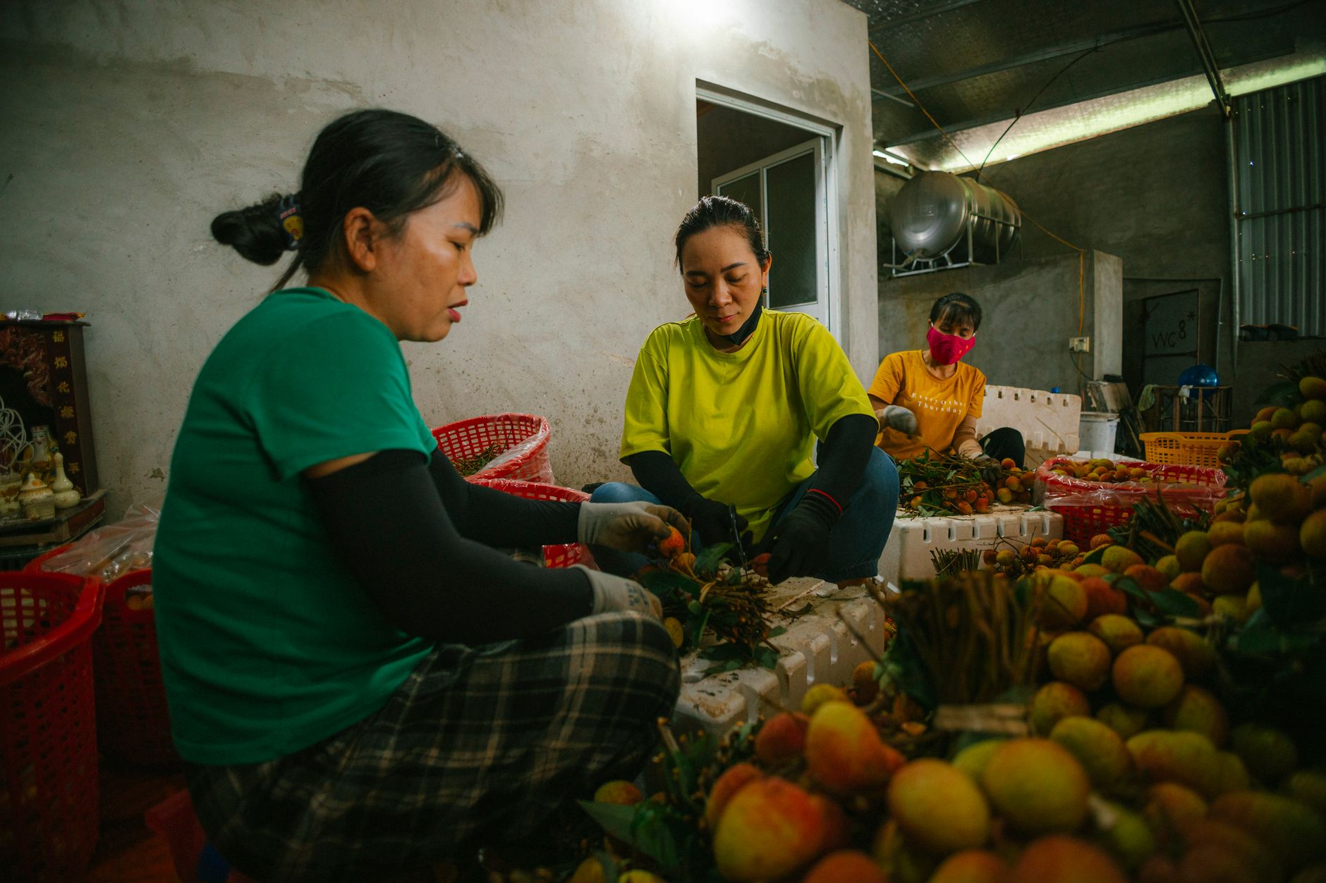 Workers packing produce in a warehouse