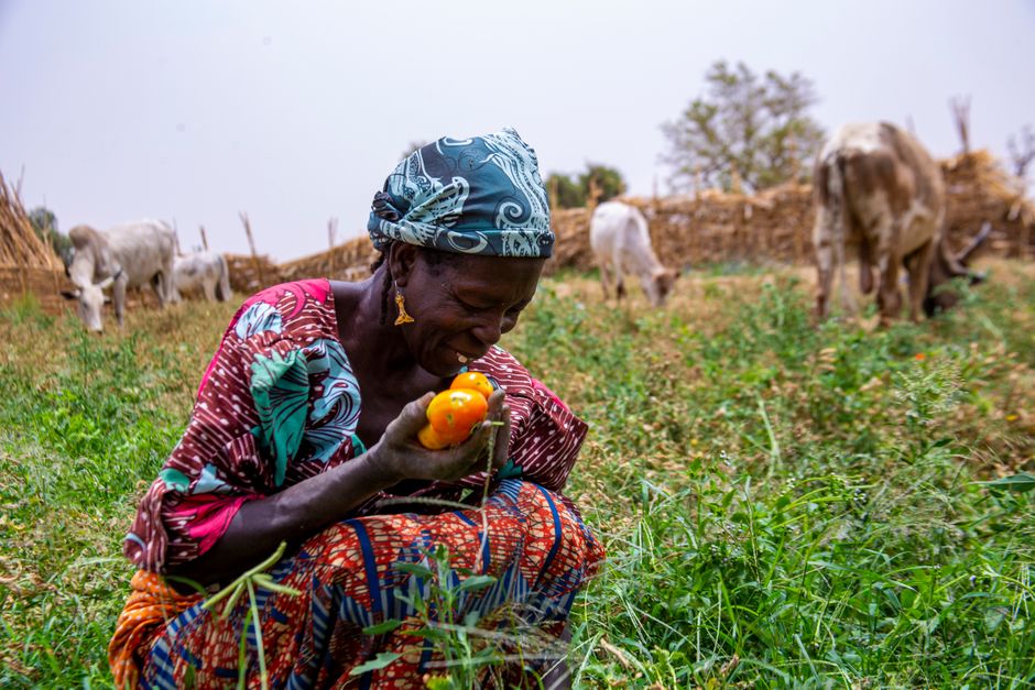 Farmer in a field